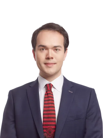 Matthew Dimon torso