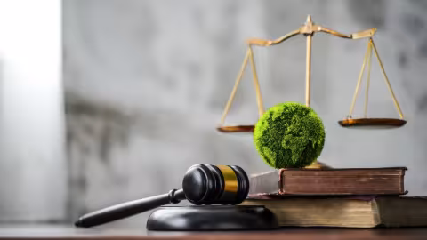 A gavel, scale, and plant.