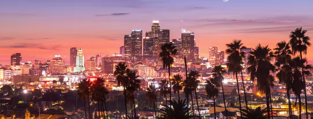 LA Skyline Banner